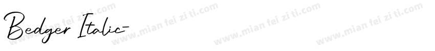 Bedger Italic字体转换